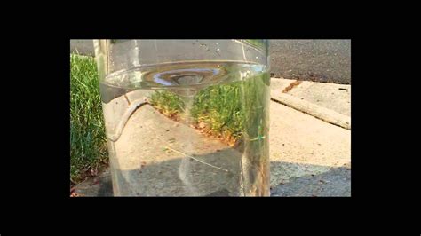 Water Vortex Experiment - YouTube