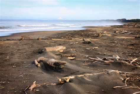 Wanganui Retreat by CathleenTarawhiti on DeviantArt