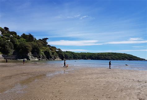 North Sands, Salcombe | South Devon Beach Bible | Coast & Country Cottages