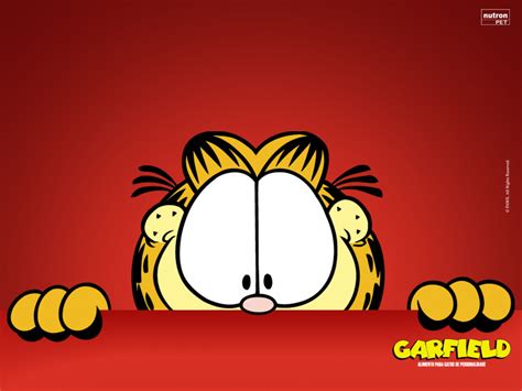 🔥 [50+] Garfield The Cat Wallpapers | WallpaperSafari