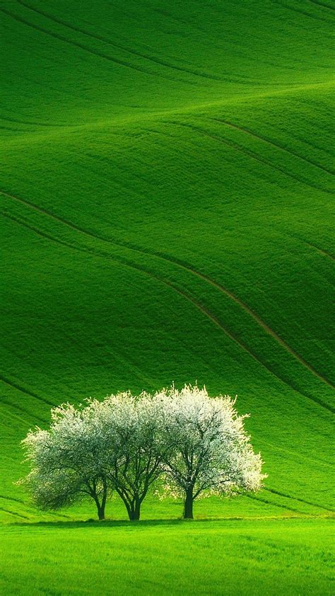 Green Beautiful Nature Scenery Android ⋆ Traxzee, green scenery android ...