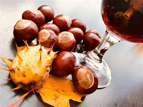 San Martino: chestnuts and wine! | Etna Experience