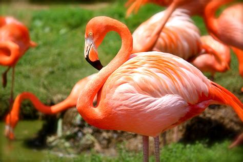 Top Zoos and Aquariums to Visit on Your Next Hawaii Vacation - Hawaii ...