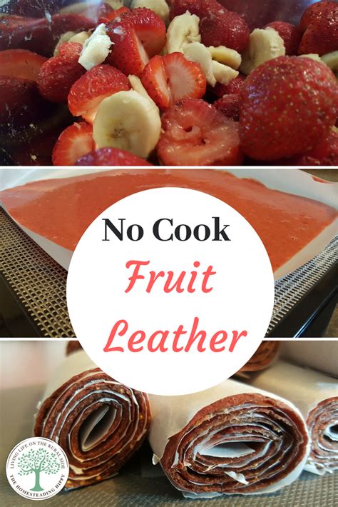 3 No-Cook Fruit Leather Dehydrator Recipes * The Homesteading Hippy ...