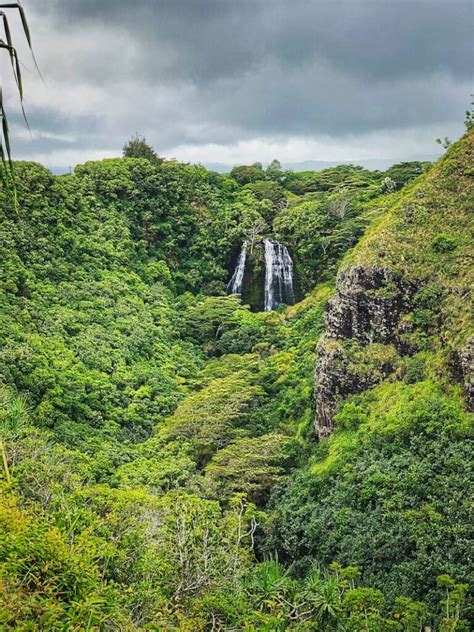 How to Visit Gorgeous Akaka Falls State Park (+ Map)