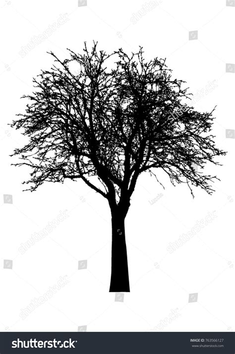 Tree Black Silhouette Vector Stock Vector (Royalty Free) 763566127 ...