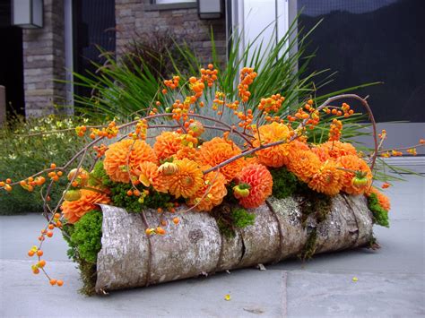 Aspen Branch Design | Thanksgiving flower arrangements, Fall flower ...