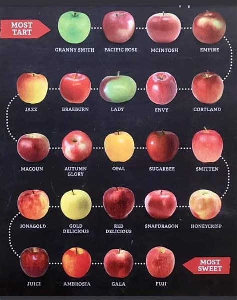 APPLE SWEETNESS CHART | Apple varieties, Apple chart, Fruit