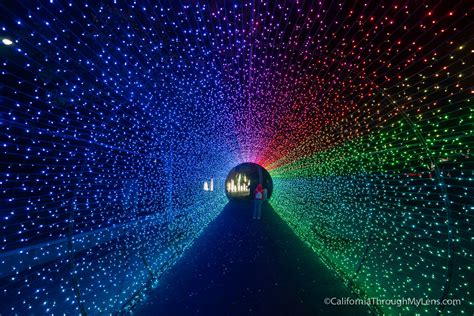 LA Zoo Lights: Christmas Lights at the Los Angeles Zoo - California ...