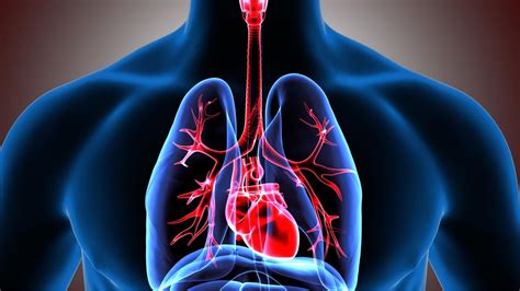 BETTER BREATHING: IMPROVING LUNG HEALTH OVER 60 (INCLUDES BREATHING ...