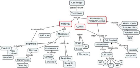 Cell Biology Techniques - What are the tools of Cell Biology?