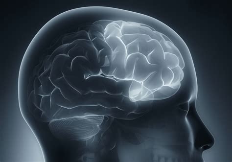 Damages Caused By a Brain Injury To The Frontal Lobe