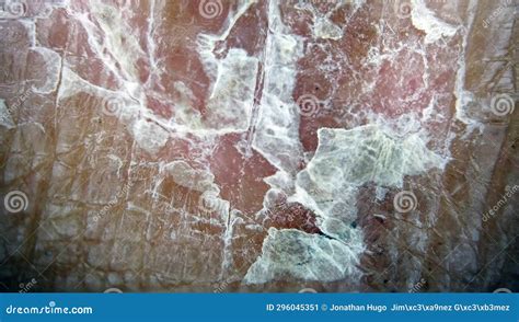 Damaged Dry Skin at the Microscope Stock Image - Image of piece, semi ...