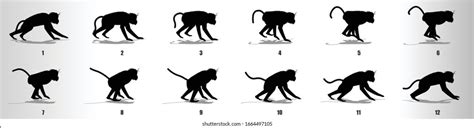 Monkey Run Cycle Animation Frames Silhouette Stock Vector (Royalty Free ...