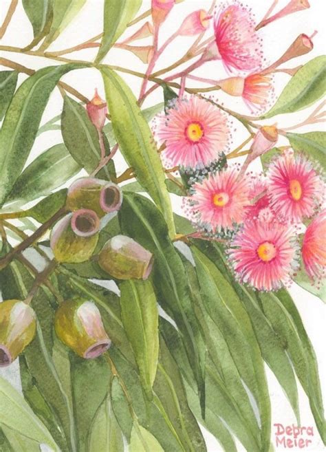 Pink Gumblossom Print Gumtree Flower Wall Art Gum Nuts - Etsy Australia