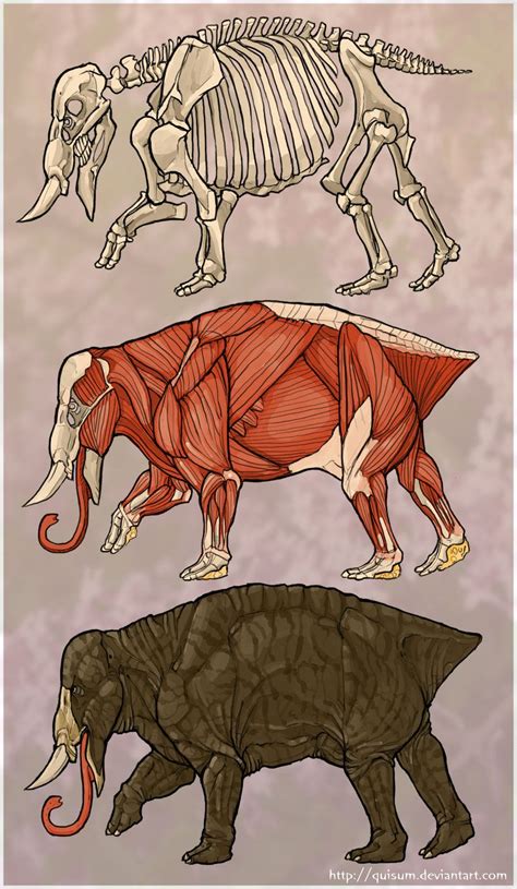 R. rugus anatomy by Quisum on deviantART Curious Creatures, Alien ...