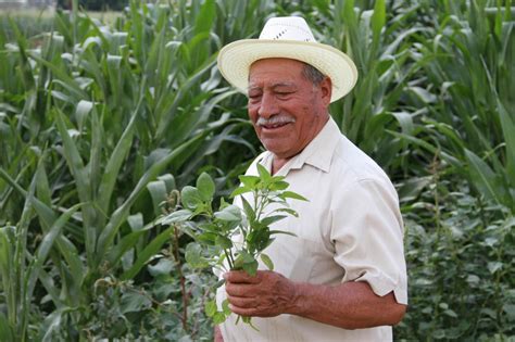 Rescatar el campo, una realidad de bienestar para todas y todos ...