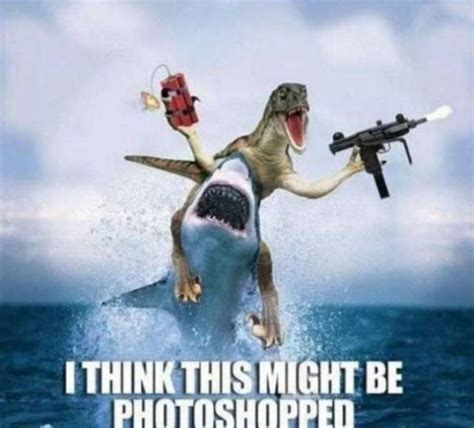 Shark Week Memes | Fun