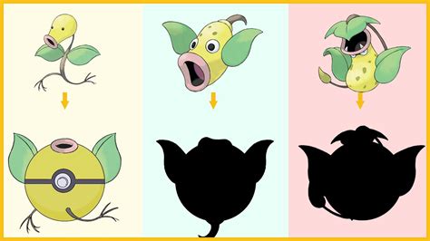 Weepinbell Evolution Chart