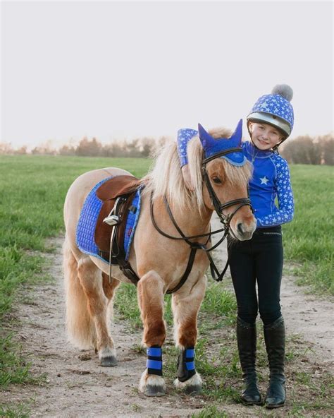 Pin by Linda Harrington on Ponymad | Cute horse pictures, Cute horses ...