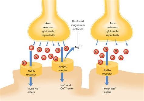 New Control Mechanism For Negative Moods – Elizma Lambert