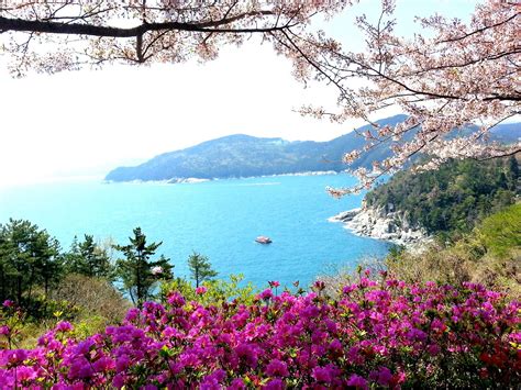 Find the paradise in Korea at Geoje Islands | KoreaTravelEasy