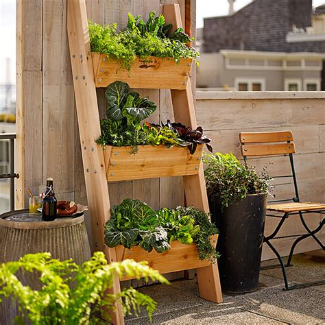 Vertical Goodness: 10 DIY Living Walls Kits for Green Living