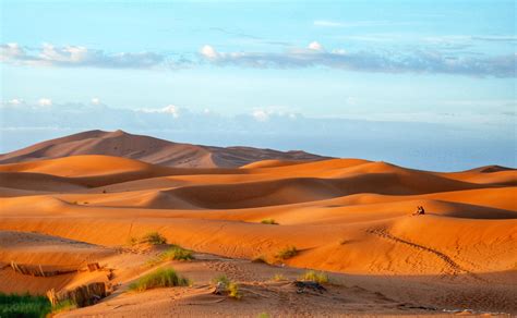 Sunrise on the red sand dunes in the Sahara desert at Erg Chebbi ...