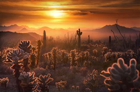 VICTORY! Defending Sonoran Desert National Monument from harmful ...