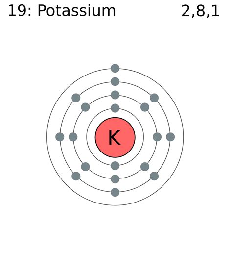 File:Electron shell 019 potassium.png - Wikimedia Commons