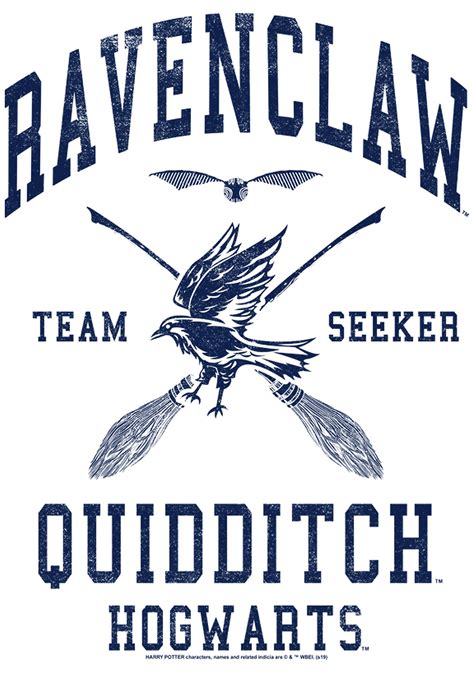 Harry Potter™ Harry Potter Ravenclaw Quidditch Seeker Graphic T-Shirt ...