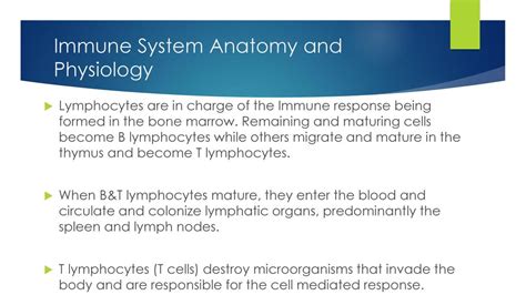 Immune system disease and Disorders - ppt download