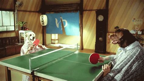 Ping Pong GIF by Cheezburger - Find & Share on GIPHY