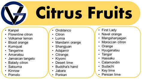 List of All Citrus Fruits | Citrus Fruits Name With Pictures - GrammarVocab