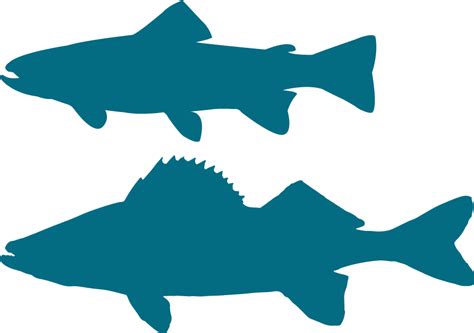 Walleye Vector Silhouette Blue Fish Silhouette Png - Clip Art Library