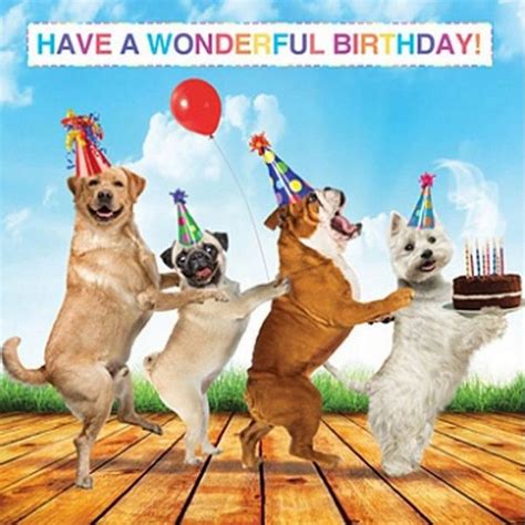 101 Funny Happy Birthday Dog Memes for Paw Lovers Everywhere