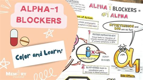 Alpha-1 Blockers Made Easy (Mnemonics, Mechanism of Action, Side ...