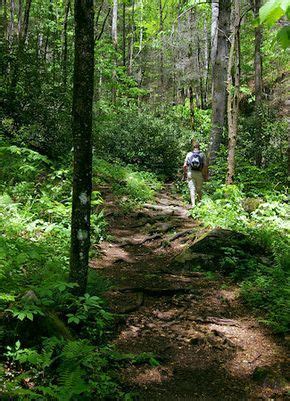 Looking Glass Rock Hike | RomanticAsheville.com | Hiking places ...