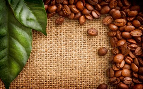 Coffee beans green leaves wallpaper | 2880x1800 | #24105