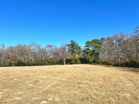 63.99 acres in Leon County, Texas - Circle T Realty Centerville TX ...