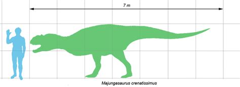 Majungasaurus Size Comparison By JakeSutton7 On DeviantArt, 55% OFF