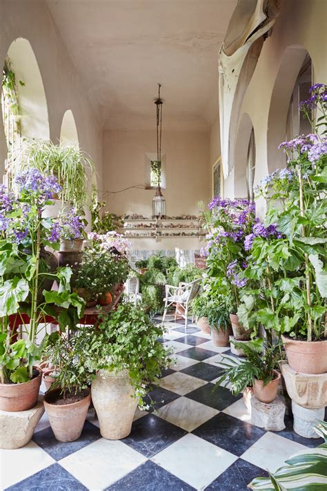 How to get the look of Umberto Pasti's atmospheric Moroccan courtyard ...