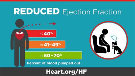 Ejection Fraction Heart Failure Measurement | American Heart Association