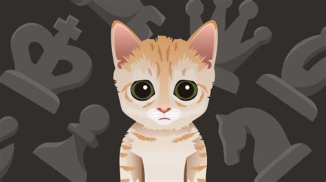 Mittens - El gato ajedrecista que conquistó al mundo - Chess.com