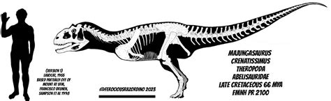 Majungasaurus crenatissimus skeletal (V1) by FerociousRazor on DeviantArt