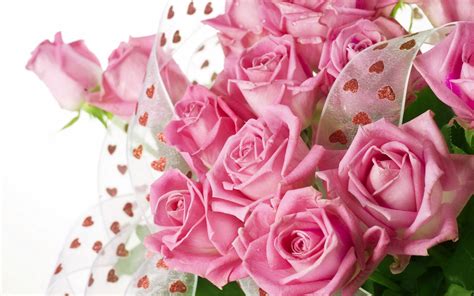 Pretty Pink Roses Wallpaper - Pink (Color) Photo (34590797) - Fanpop