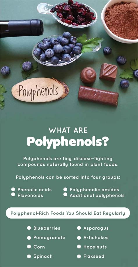 Foods High in Polyphenols | Fatty Liver Disease