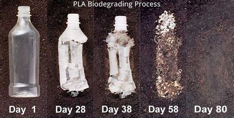 What is PLA ? | PLA Plastic Food Packaging