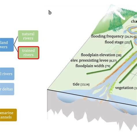 a Classification of natural levees based on their formation environment ...