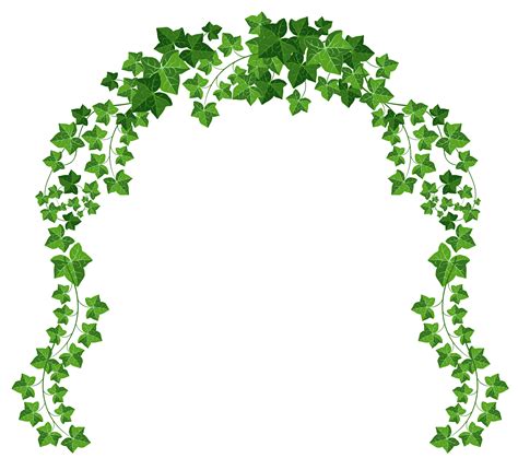 Green Grass Background Clipart Vine Wall Plant Transparent Clip Art ...